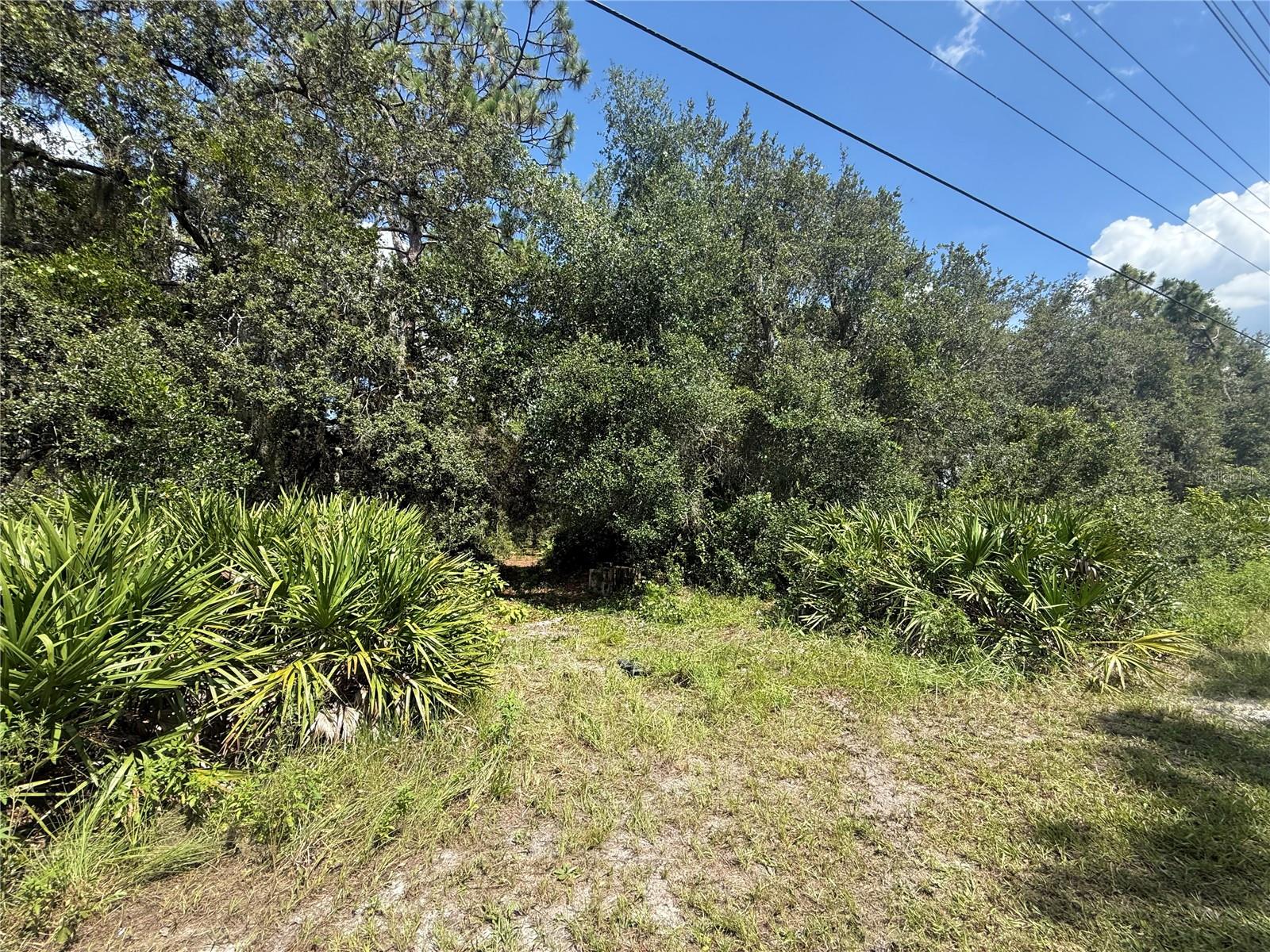 2521 ABSHER RD, ST CLOUD, FL — photo 18