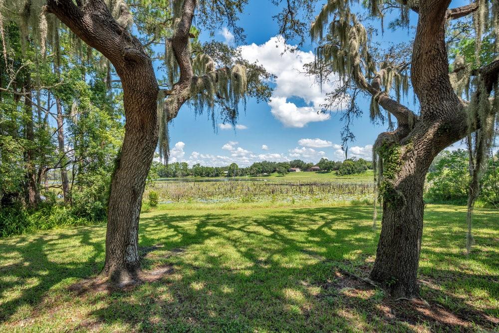 2088 GOLDEN ARM RD, DELTONA, FL — photo 37