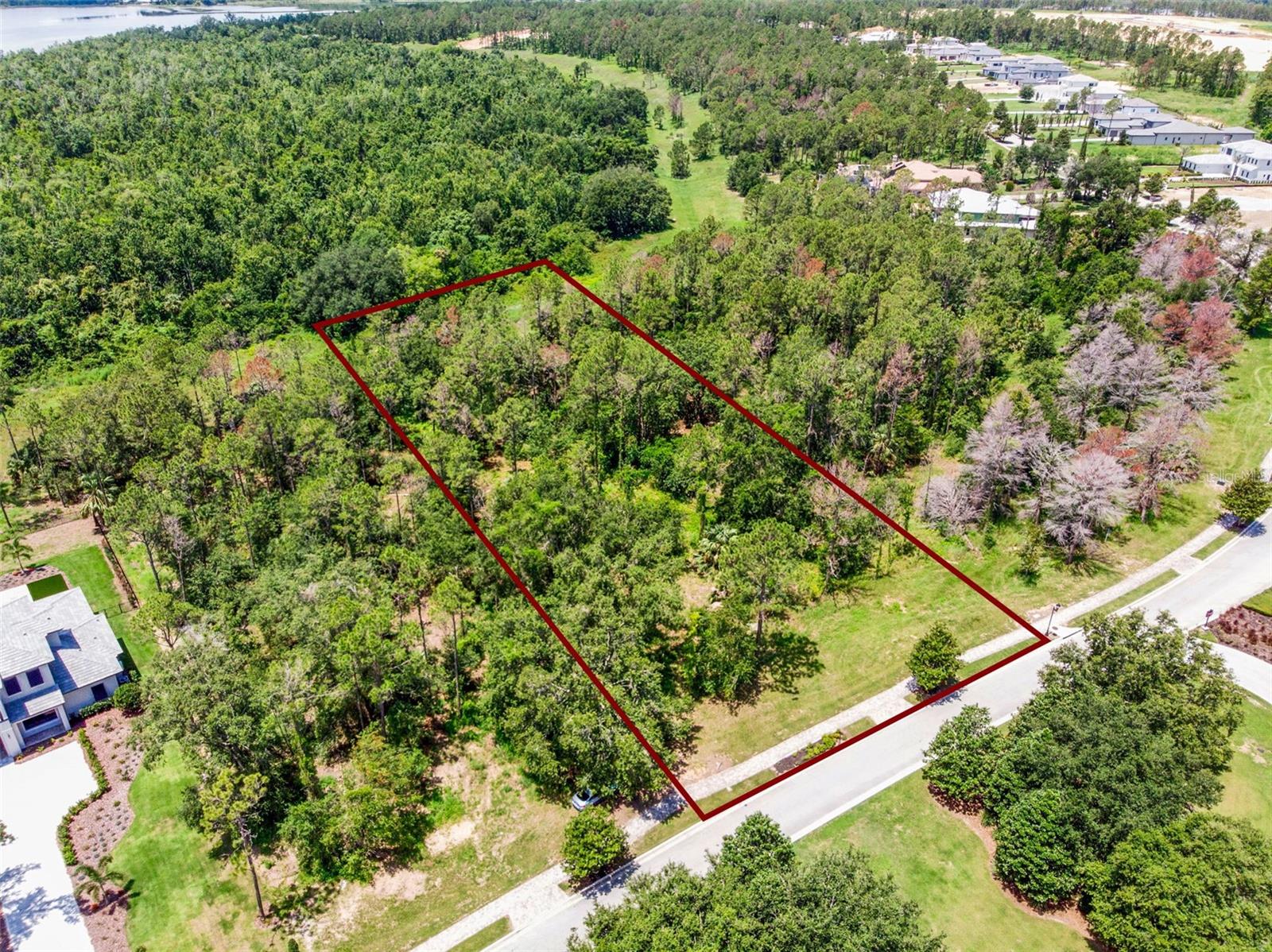 16901 CRETE WAY, BELLA COLLINA, FL — photo 17