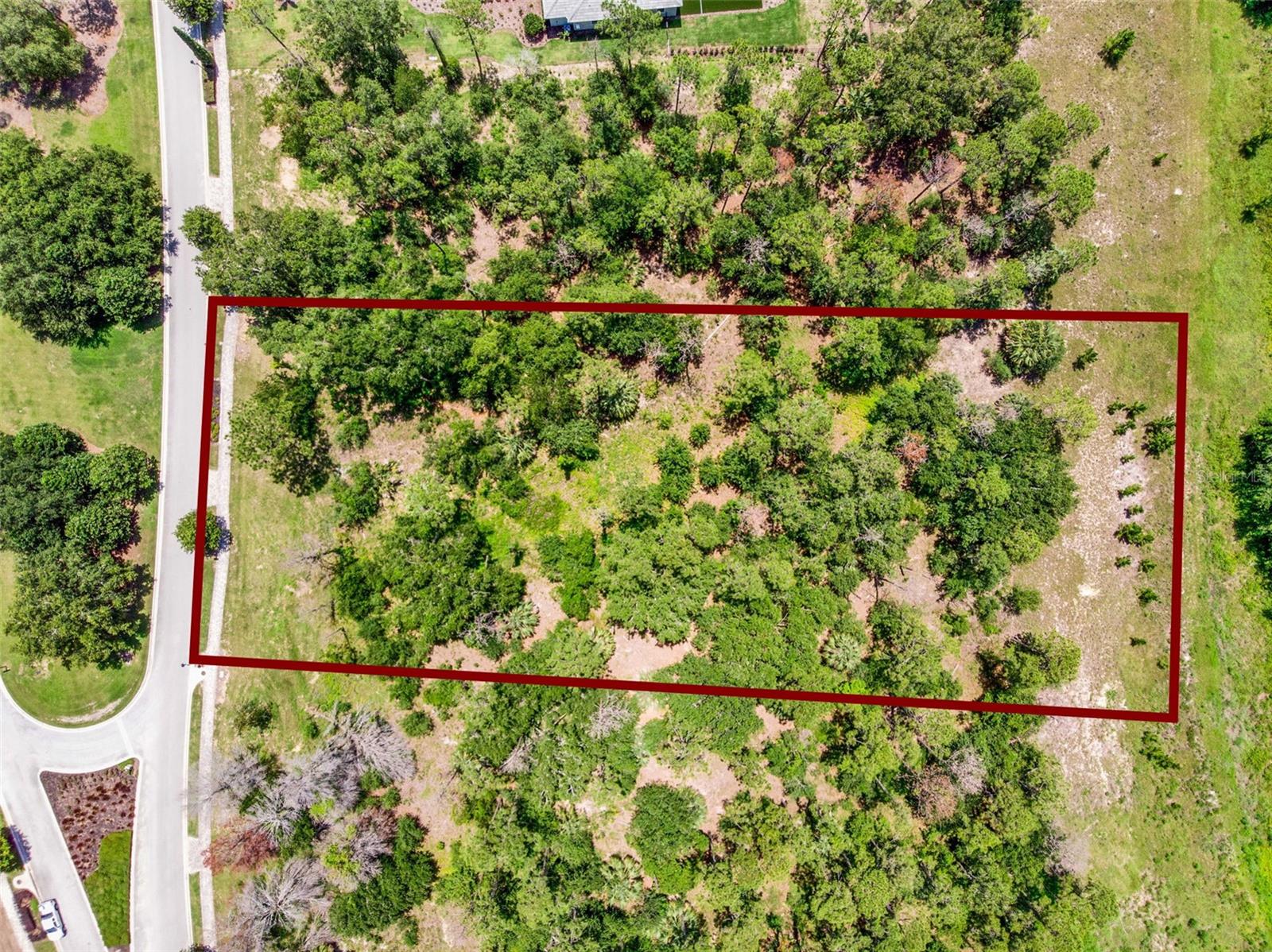 16901 CRETE WAY, BELLA COLLINA, FL — photo 24