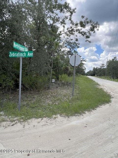 0 ZEBRAFINCH AVE, WEEKI WACHEE, FL