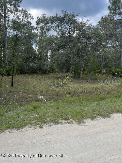 0 ZEBRAFINCH AVE, WEEKI WACHEE, FL — photo 3