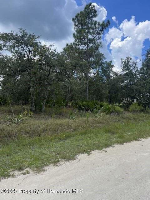 0 ZEBRAFINCH AVE, WEEKI WACHEE, FL — photo 4