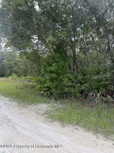 0 ZEBRAFINCH AVE, WEEKI WACHEE, FL — photo 5