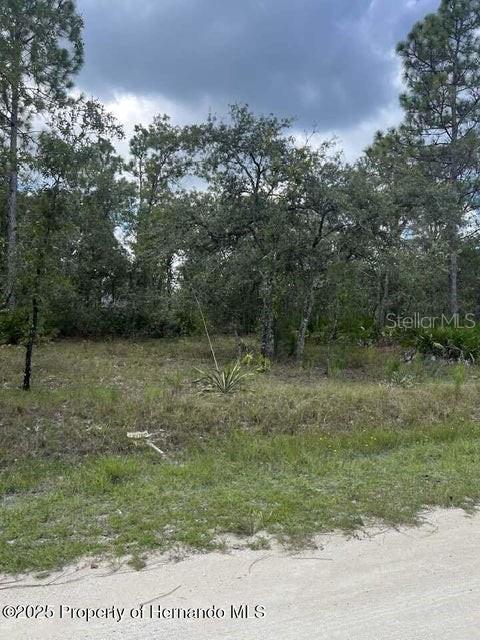 0 ZEBRAFINCH AVE, WEEKI WACHEE, FL — photo 6