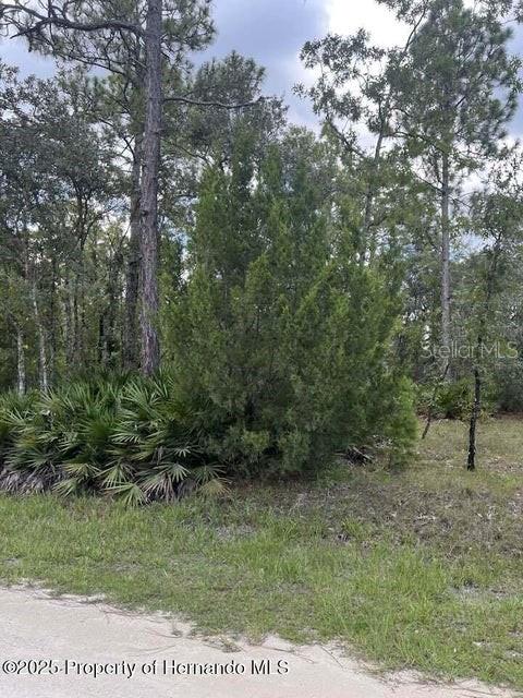 0 ZEBRAFINCH AVE, WEEKI WACHEE, FL — photo 7