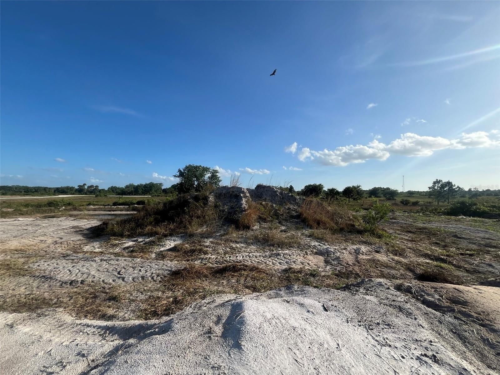 16058 NW 290TH ST, OKEECHOBEE, FL — photo 15