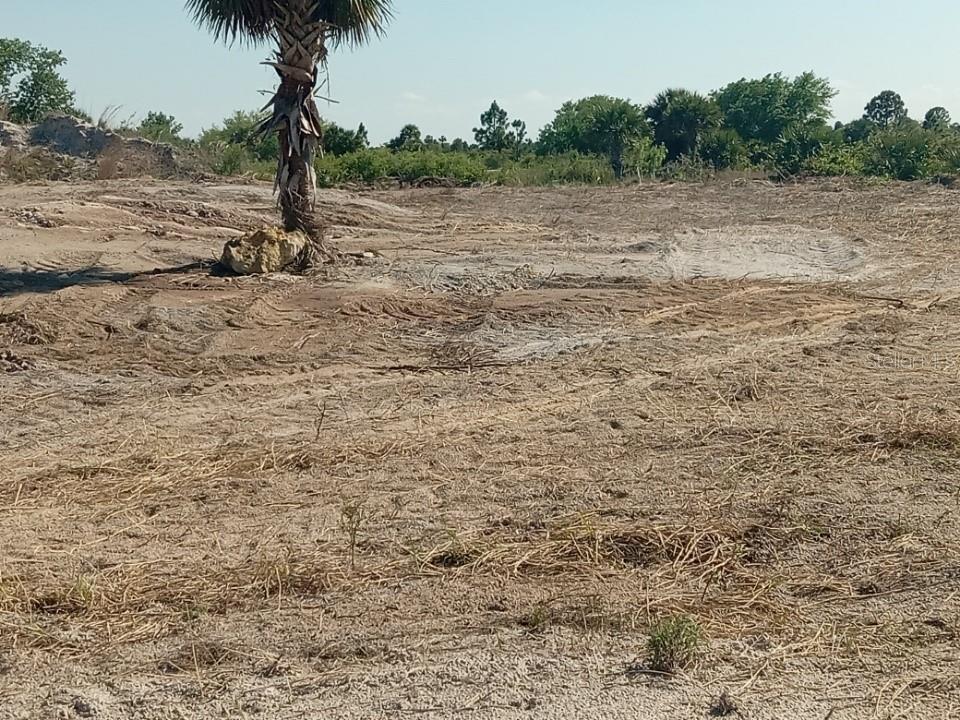 16058 NW 290TH ST, OKEECHOBEE, FL — photo 23
