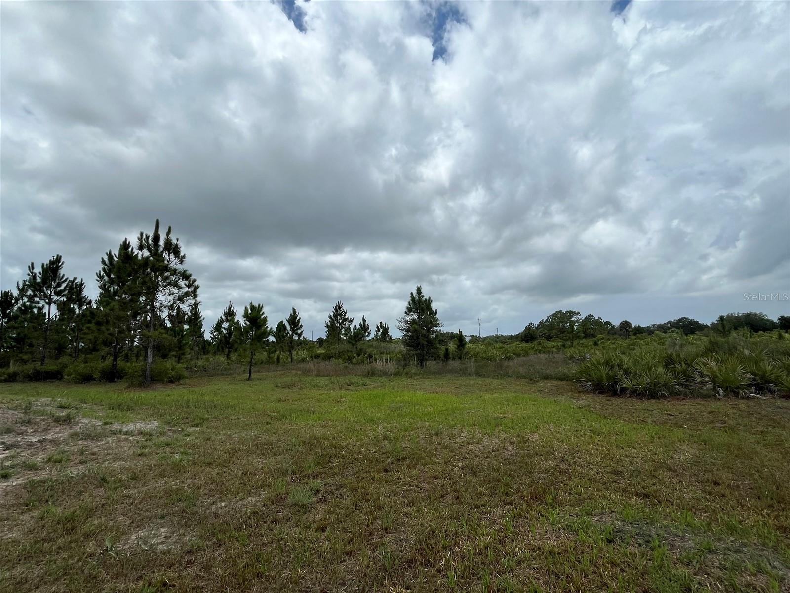 19092 NW 250TH ST, OKEECHOBEE, FL — photo 15