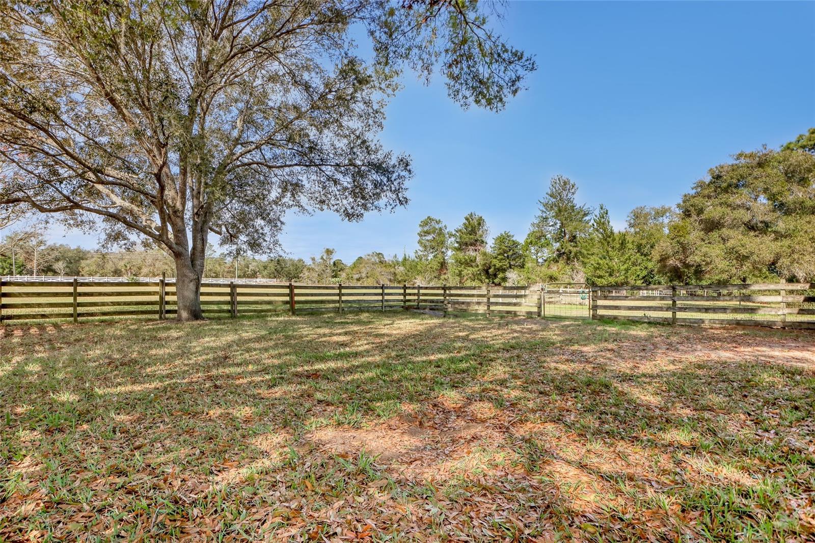 5005 HIGHWAY 1, MIMS, FL — photo 63
