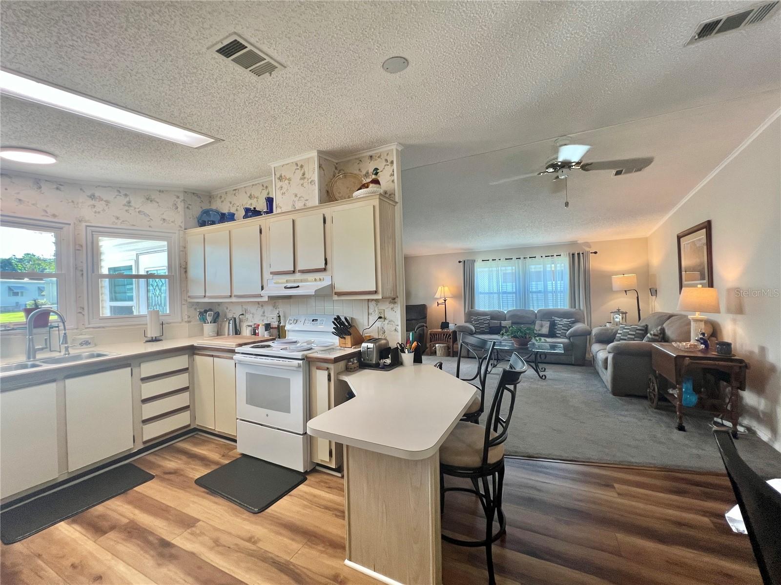 141 BOUGAINVILLEA DR, LEESBURG, FL — photo 43