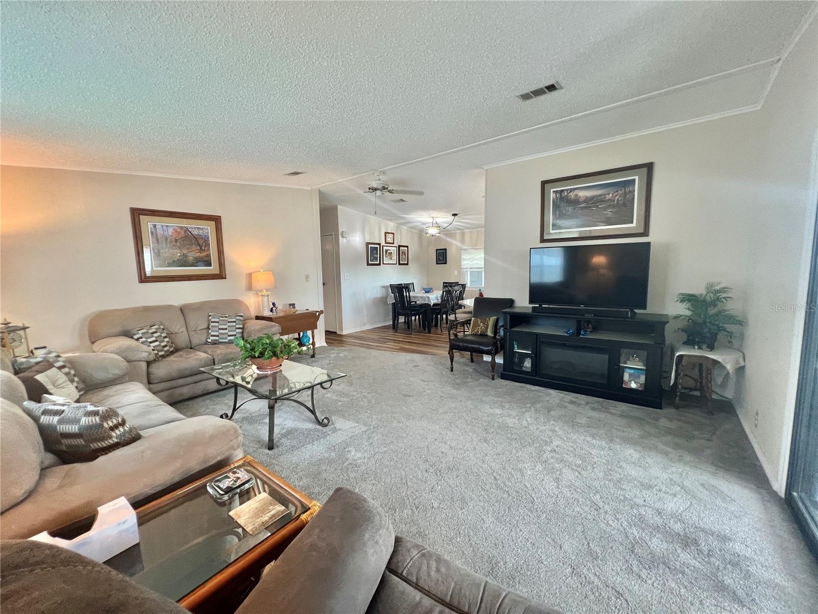 141 BOUGAINVILLEA DR, LEESBURG, FL — photo 49