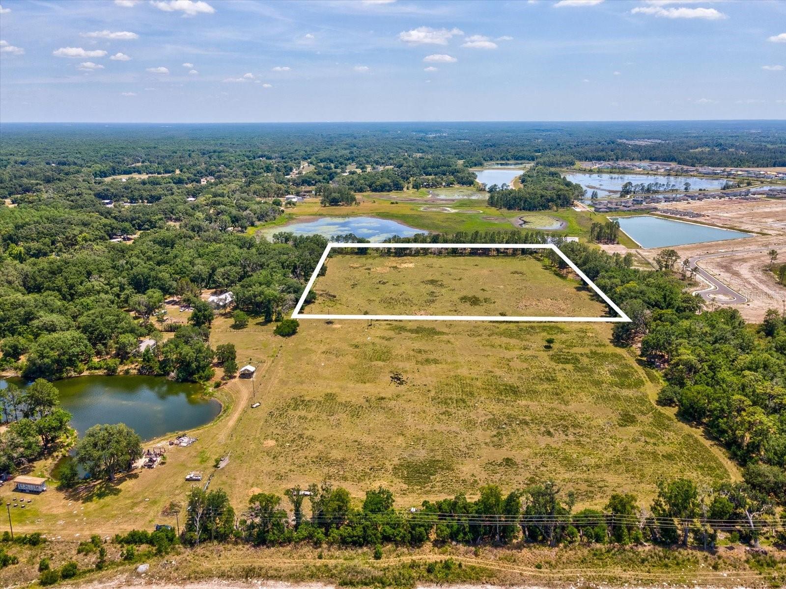 8989 EHREN CUTOFF, LAND O LAKES, FL — photo 10