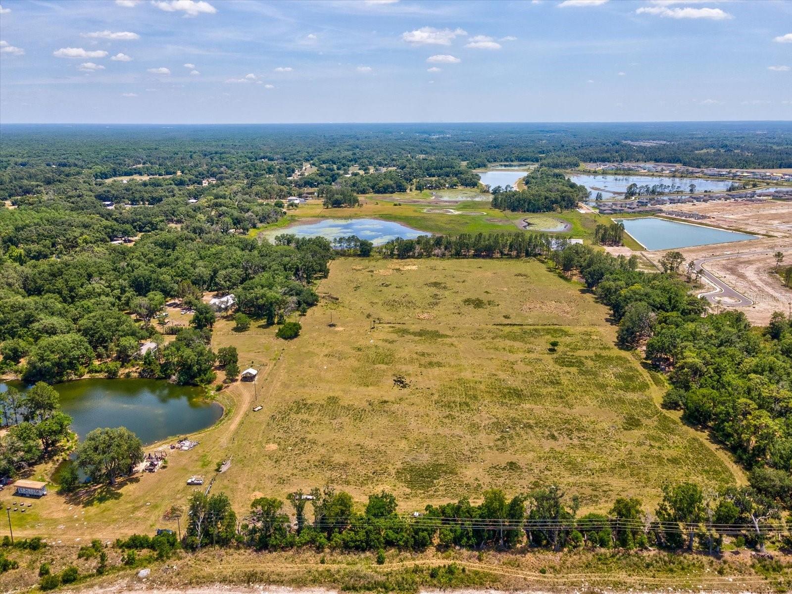 8989 EHREN CUTOFF, LAND O LAKES, FL — photo 11