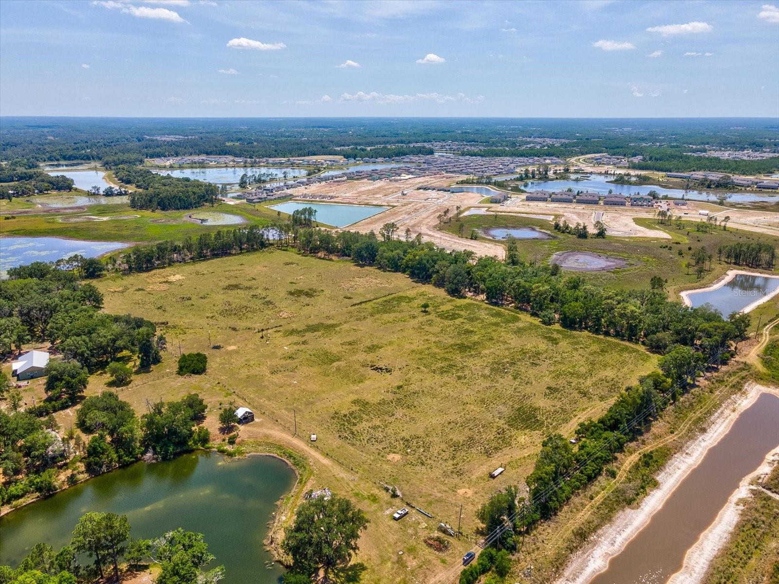 8989 EHREN CUTOFF, LAND O LAKES, FL — photo 13