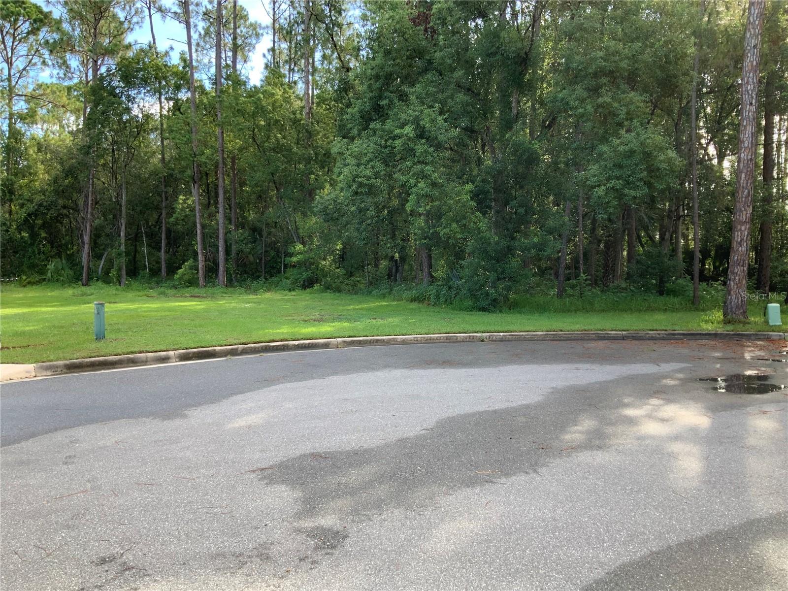 TIMBER LN, EUSTIS, FL — photo 2