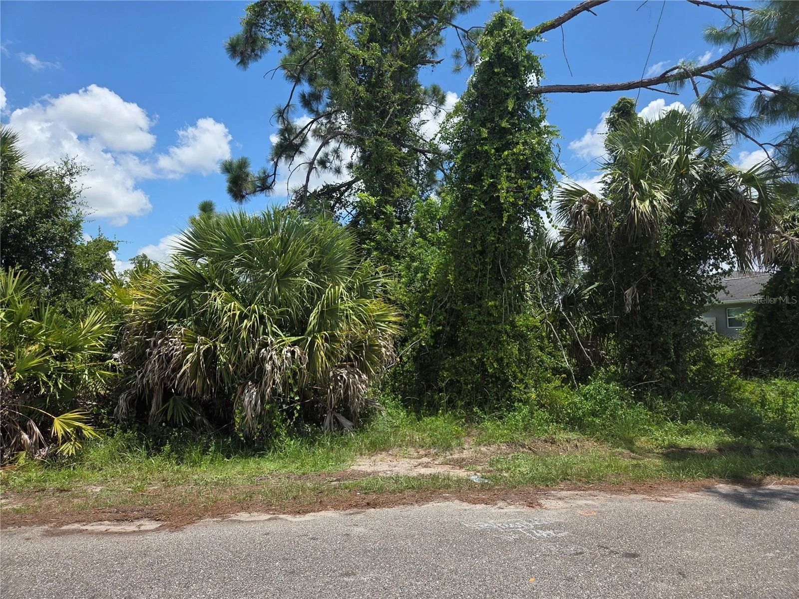 SELOVER RD, NORTH PORT, FL — photo 2