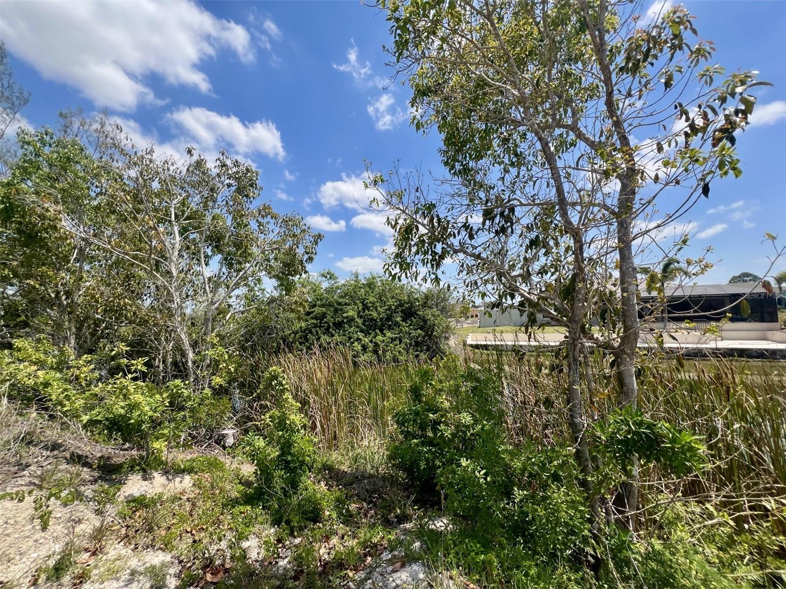 1031 NW 20TH PL, CAPE CORAL, FL — photo 2