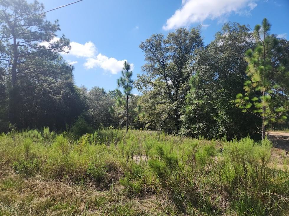 LOT 21 SW RAINBOW LAKES BLVD, DUNNELLON, FL — photo 12