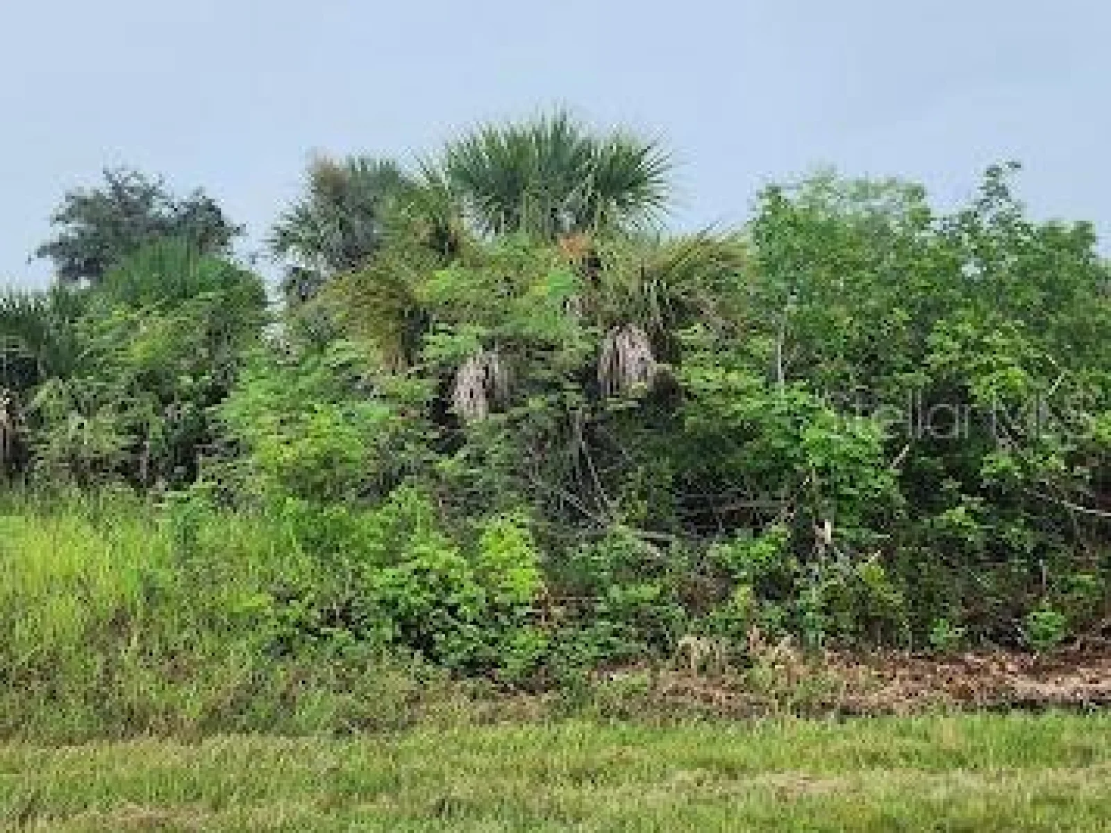 8175 CLYDE CIR, PORT CHARLOTTE, FL — photo 6