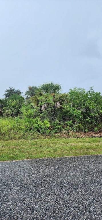 8175 CLYDE CIR, PORT CHARLOTTE, FL — photo 5