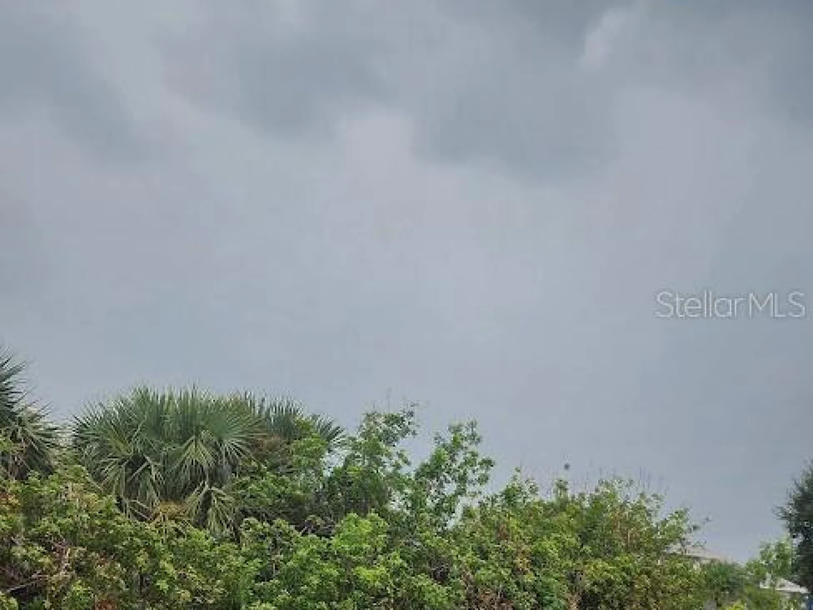 8175 CLYDE CIR, PORT CHARLOTTE, FL — photo 13