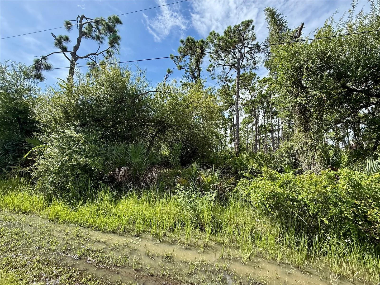 13165 GOTHAM AVE, PORT CHARLOTTE, FL — photo 3