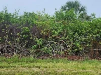 8183 CLYDE CIR — photo 4