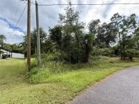 LANAI AVE — photo 4