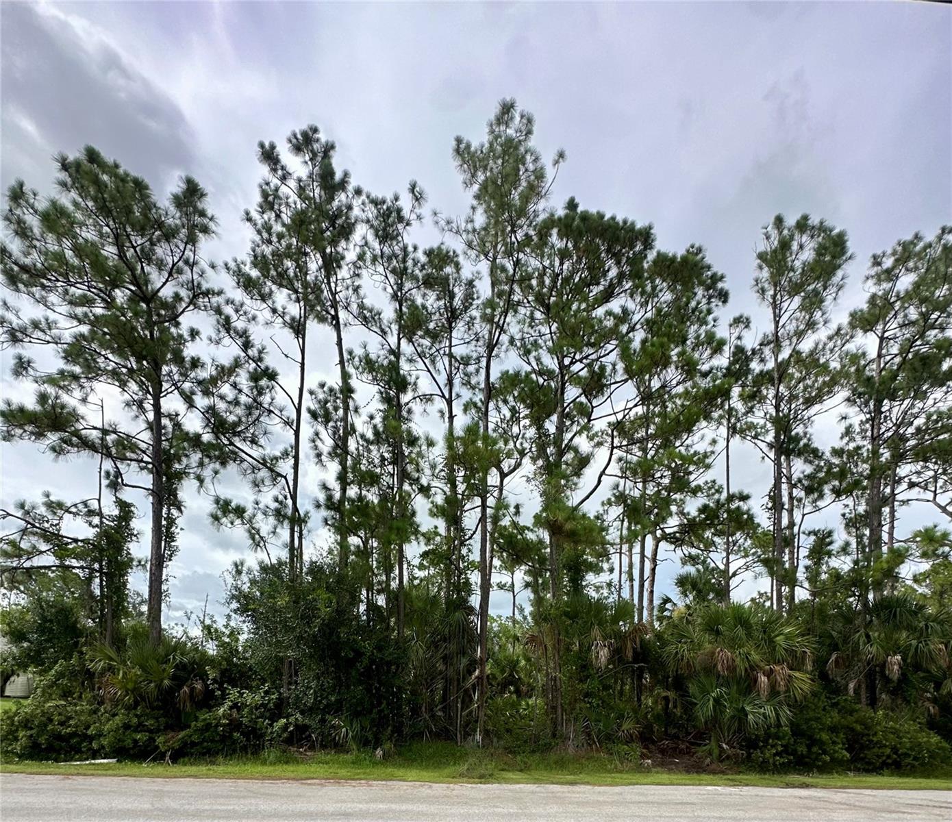 Lot 16 DONATELLO AVE, NORTH PORT, FL — photo 5