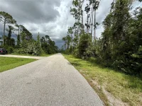 DRAGONFLY AVE — photo 1