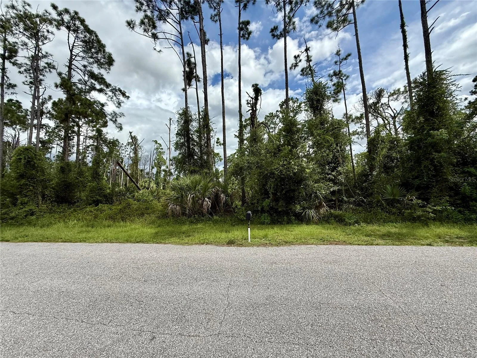 DRAGONFLY AVE, NORTH PORT, FL — photo 2