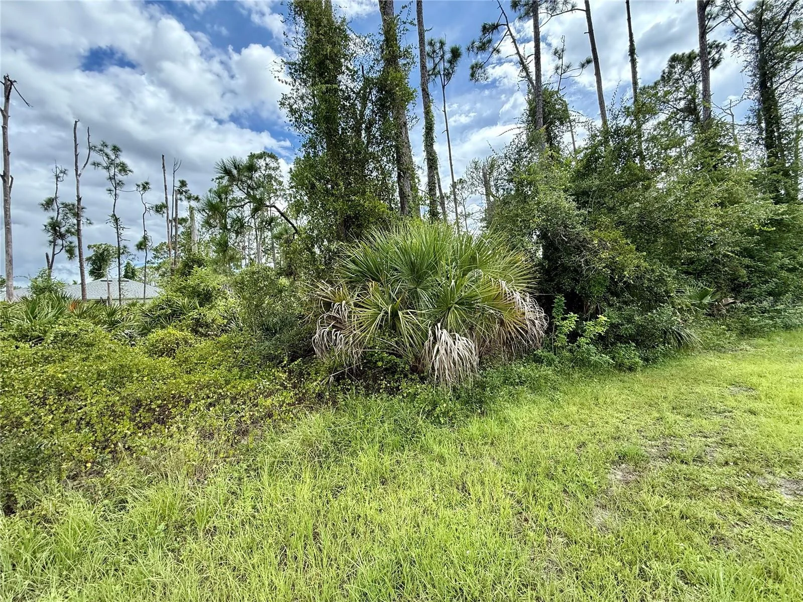 DRAGONFLY AVE, NORTH PORT, FL — photo 3
