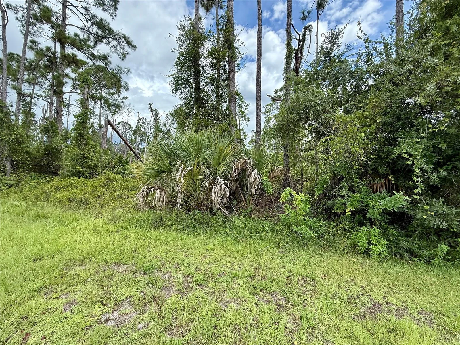 DRAGONFLY AVE, NORTH PORT, FL — photo 5