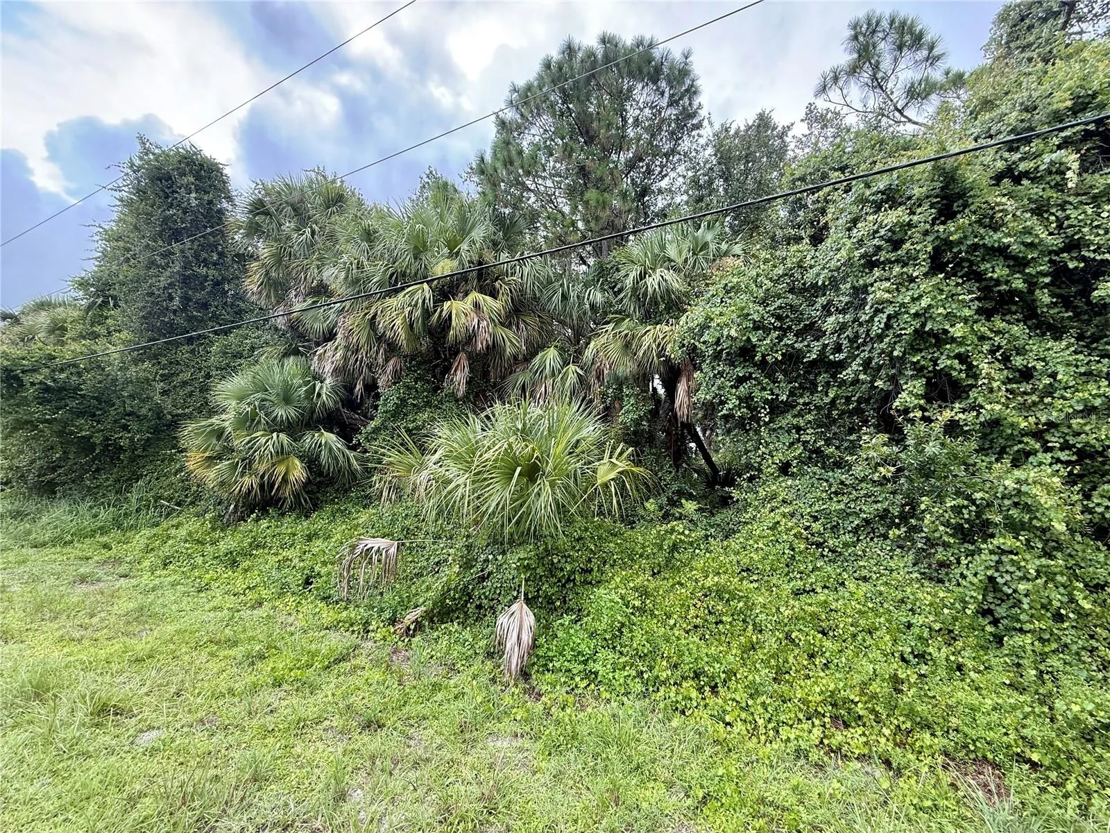 BALMOR TER, NORTH PORT, FL — photo 2