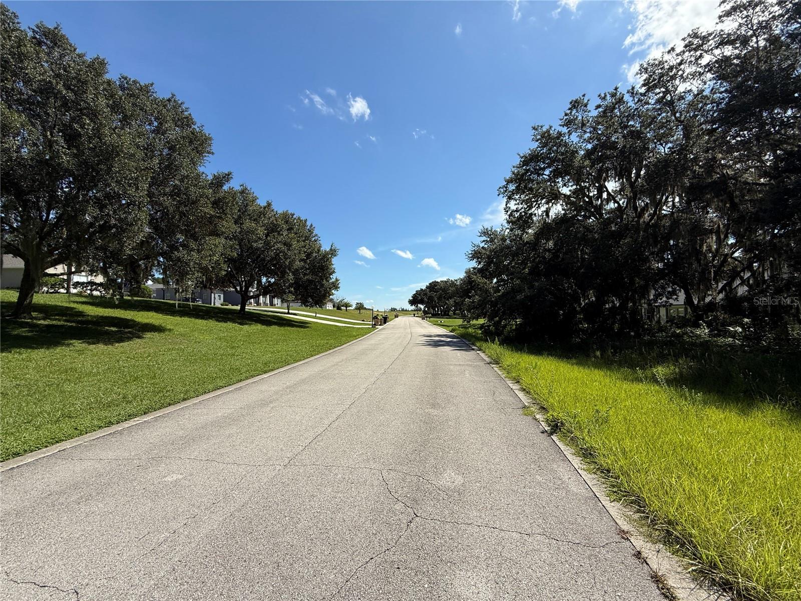 Lot 98 BEAR DEN DR, EUSTIS, FL — photo 7