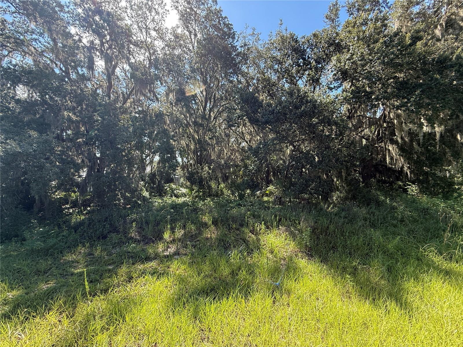Lot 98 BEAR DEN DR, EUSTIS, FL — photo 9