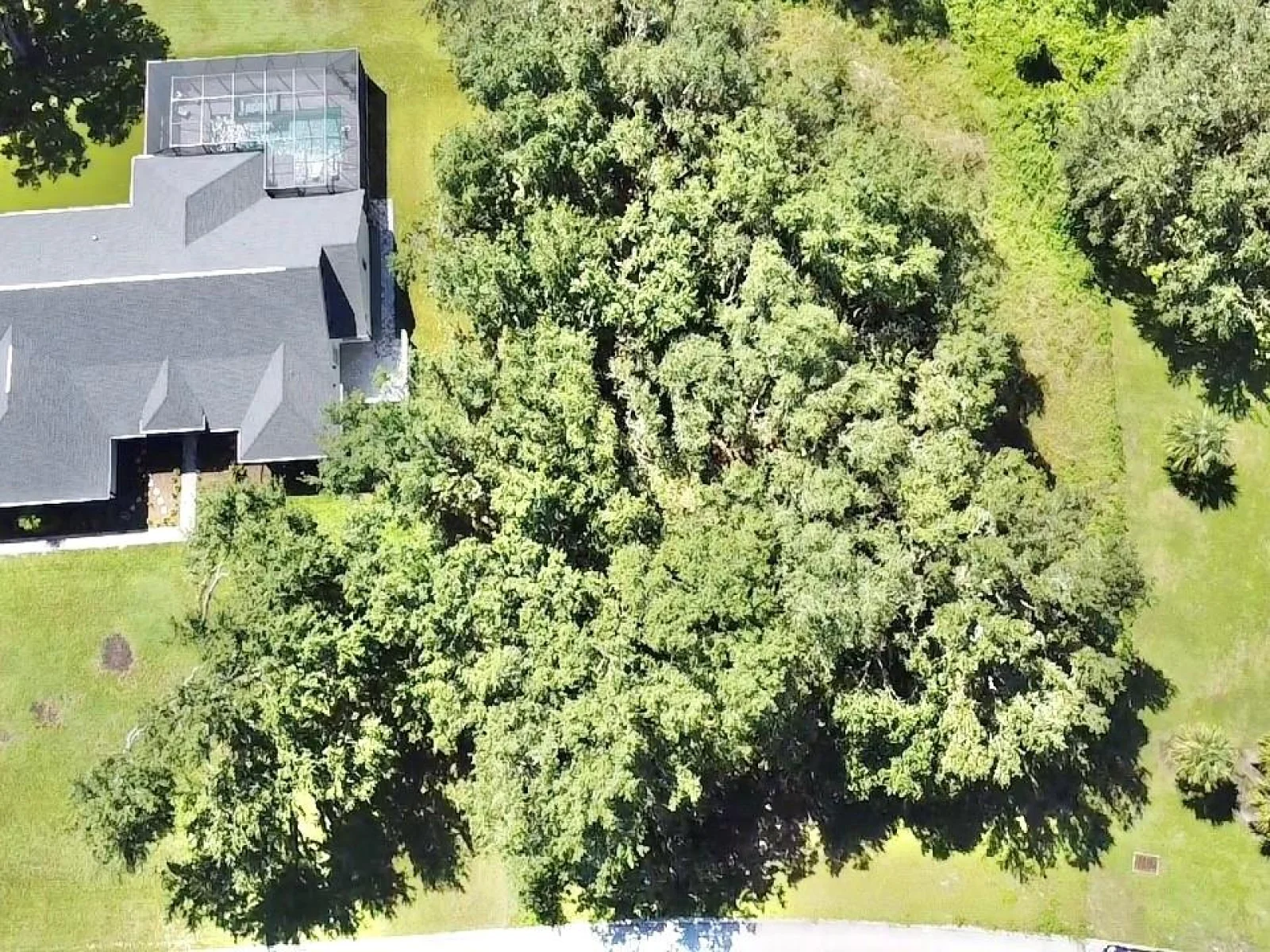 Lot 98 BEAR DEN DR, EUSTIS, FL — photo 12
