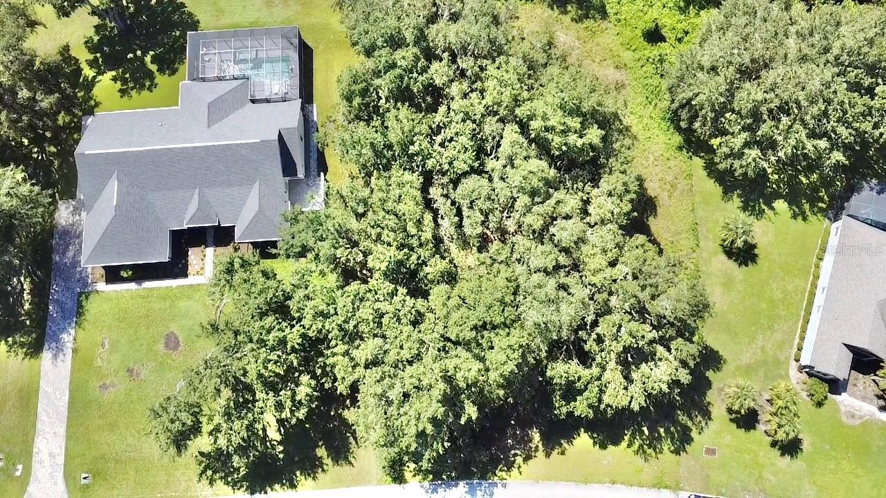 Lot 98 BEAR DEN DR, EUSTIS, FL — photo 11
