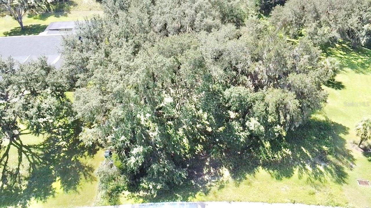 Lot 98 BEAR DEN DR, EUSTIS, FL — photo 13