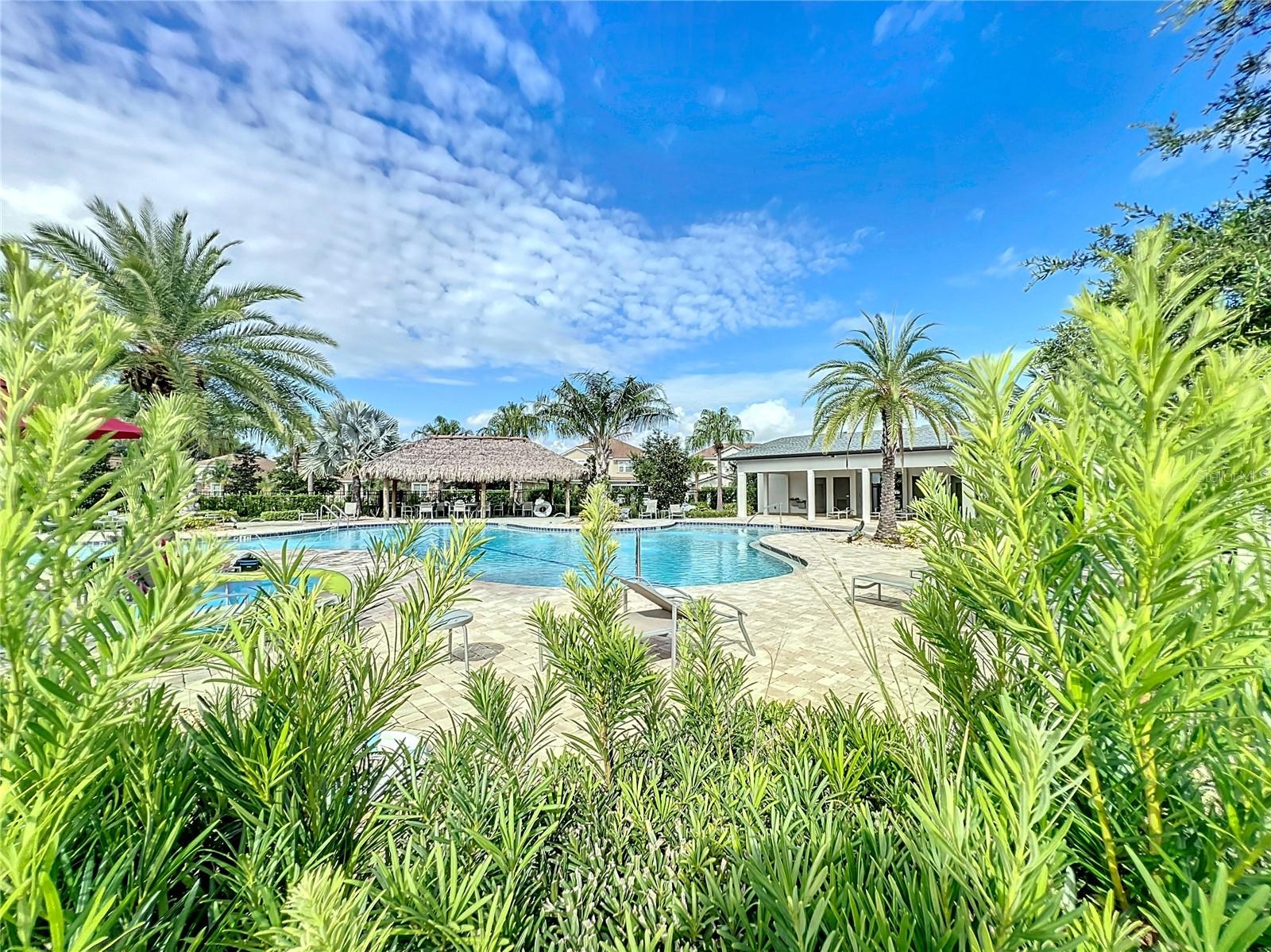 1065 BLACKWOLF RUN RD, DAVENPORT, FL — photo 49