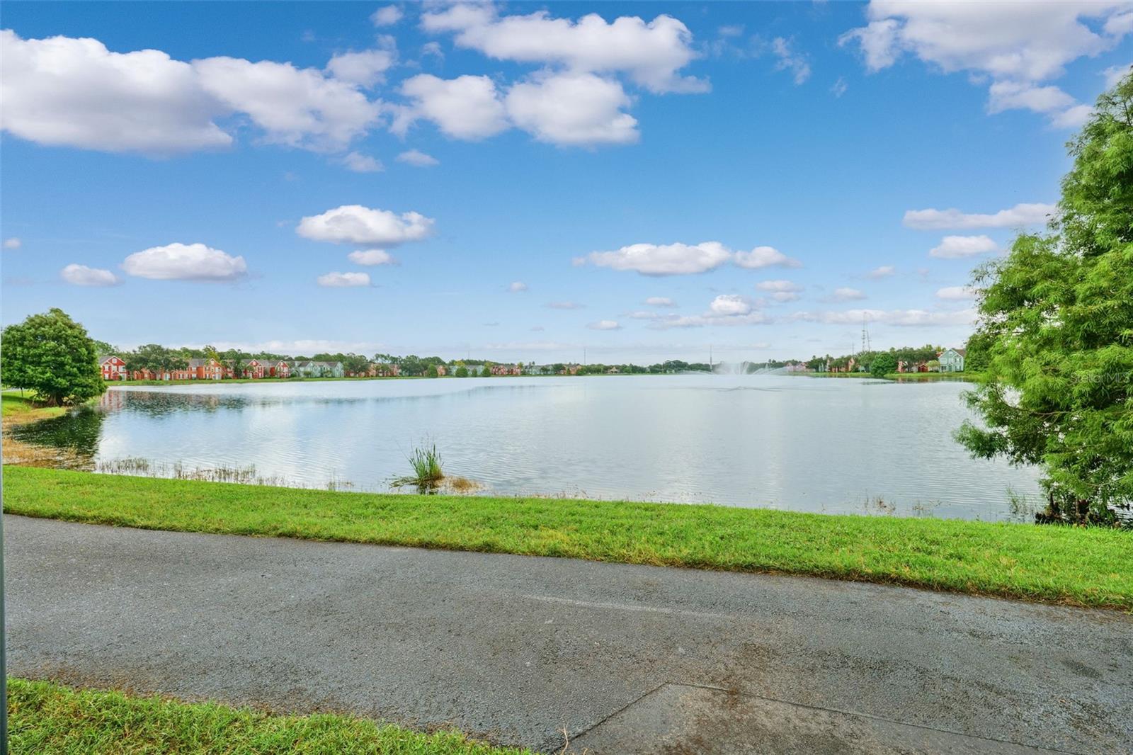 9368 LAKE CHASE ISLAND WAY #9368, TAMPA, FL — photo 26
