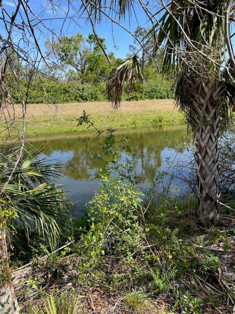LOT 54 & 55 NEWMAN DR, NORTH PORT, FL — photo 2