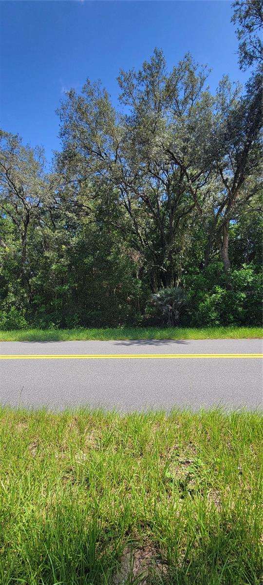 0 SW BEACH BLVD, DUNNELLON, FL
