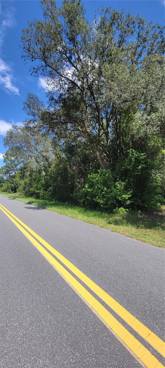 0 SW BEACH BLVD, DUNNELLON, FL — photo 2