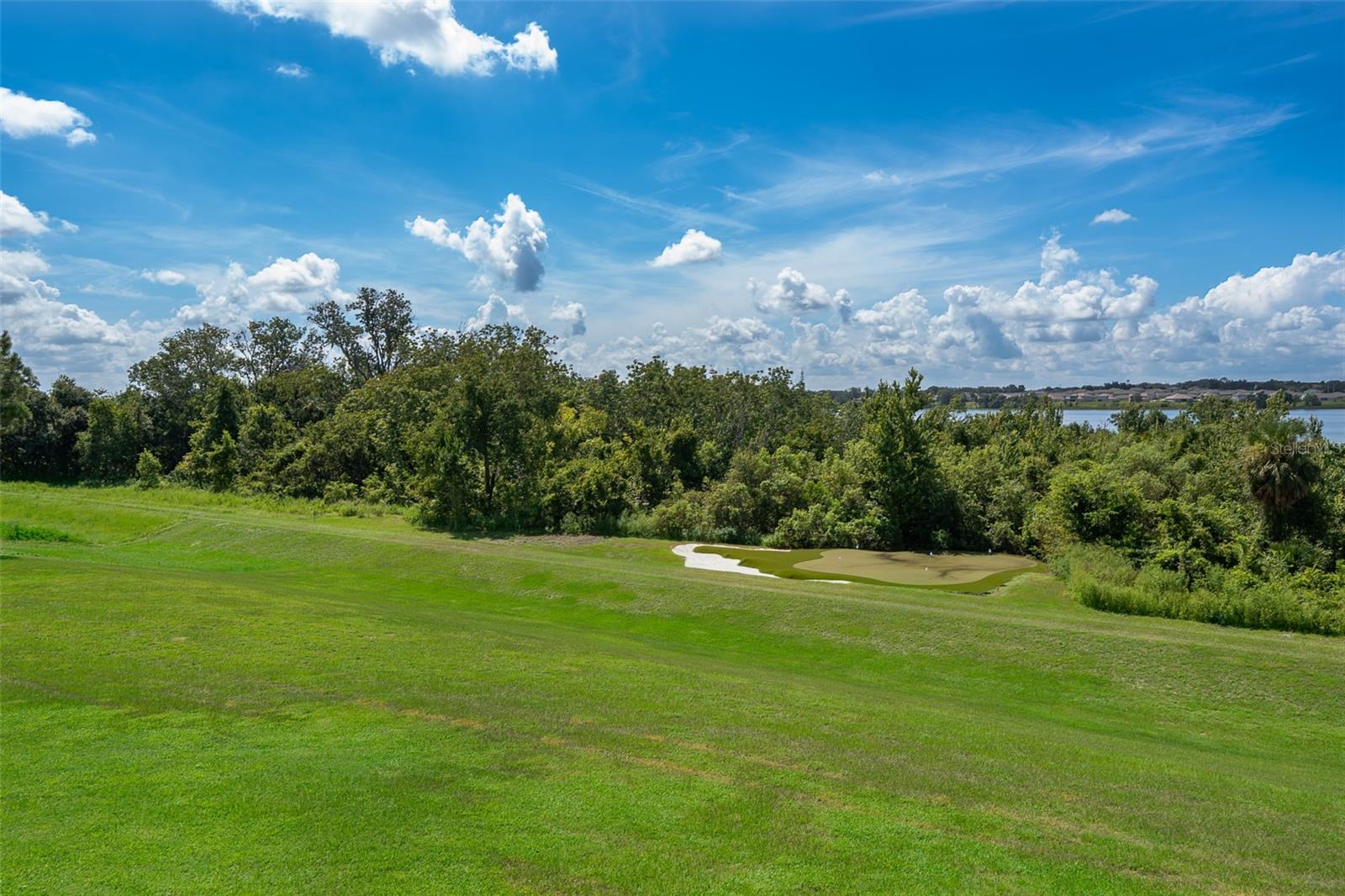16834 ARTIMINO LOOP, BELLA COLLINA, FL — photo 125