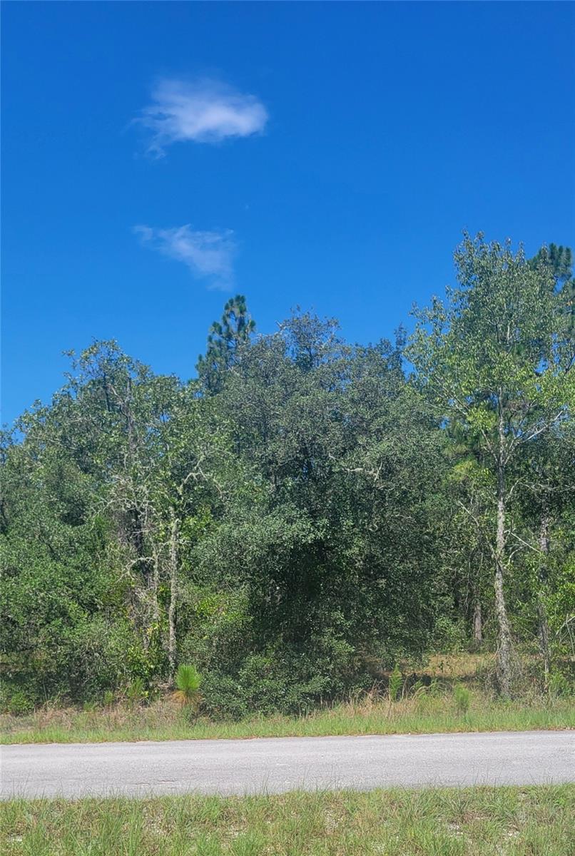 0 SW BIG BEAR RDG, DUNNELLON, FL