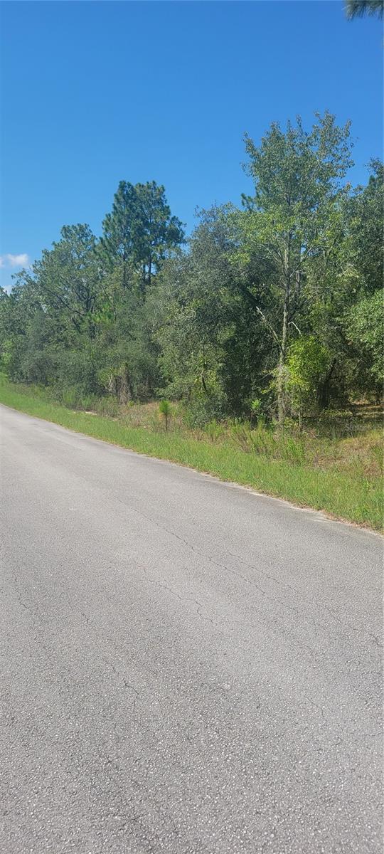 0 SW BIG BEAR RDG, DUNNELLON, FL — photo 2