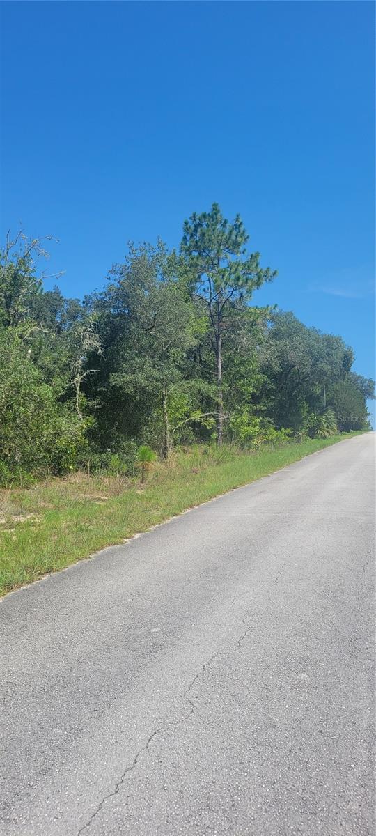 0 SW BIG BEAR RDG, DUNNELLON, FL — photo 3