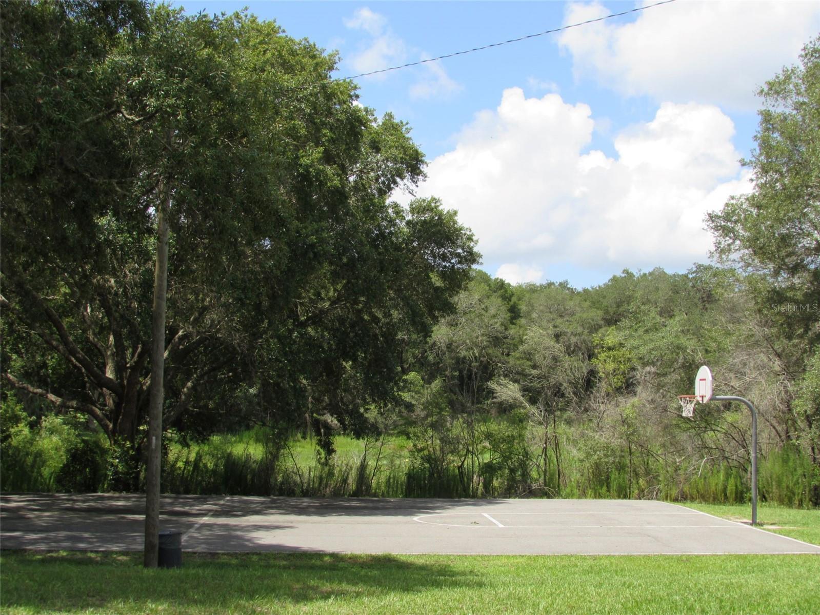 0 SW BIG BEAR RDG, DUNNELLON, FL — photo 13